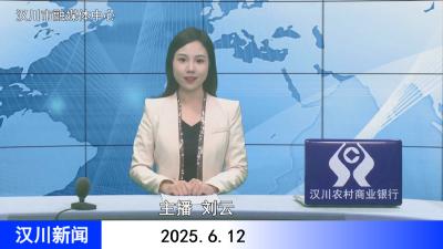 汉川新闻20250612
