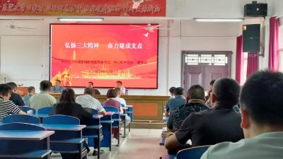 汉川市城隍镇中心初中开展专题党课学习活动