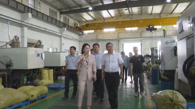 【视频】省人大民宗侨外委来我市调研民族团结与侨企发展工作  