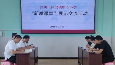 “新质课堂”大揭秘！校长展示课中藏着啥秘诀？