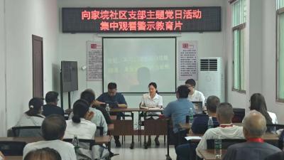 向家垸社区开展主题党日活动