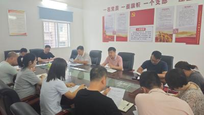 汉川市委编办开展“弘扬三大精神 锤炼过硬作风 激励担当作为”主题党日活动
