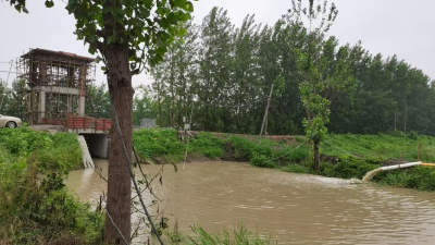 暴雨来袭，脉旺镇雷霆出击疏通沟渠护农田