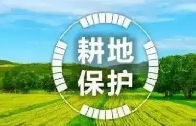 摸清资源家底 夯实耕地底盘 筑牢农业发展根基