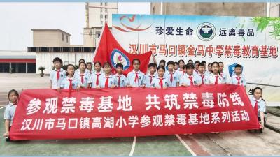 马口镇高湖小学“组合拳”出击，筑牢禁毒防线