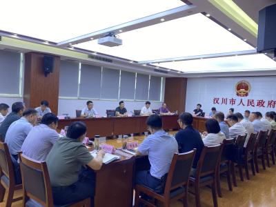 【视频】汉川市召开童车产业高质量发展座谈会