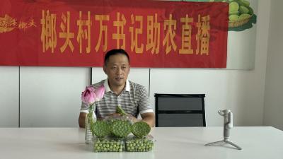 马鞍乡：在素质提升与规定践行中助力乡村振兴