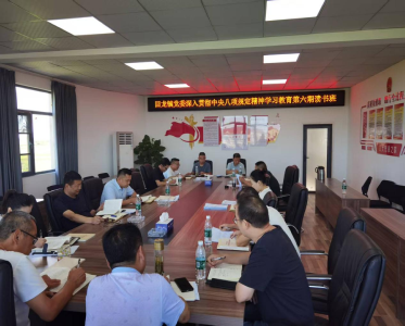 回龙镇召开深入贯彻中央八项规定精神学习教育第六期读书班
