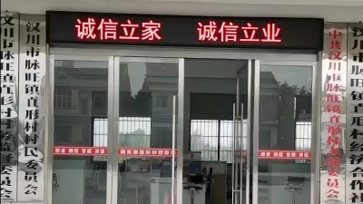 线上线下齐发力，脉旺镇筑牢信用 “防护网”