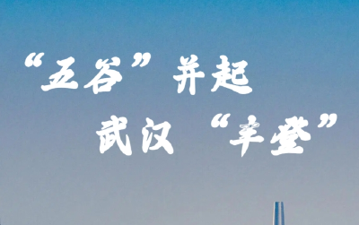 “五谷”并起 武汉“丰登”
