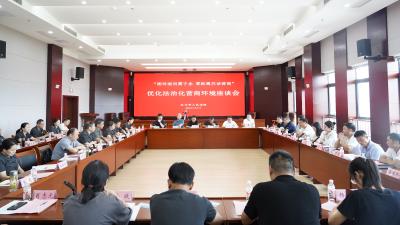 汉川法院召开座谈会共绘法治化营商环境新图景
