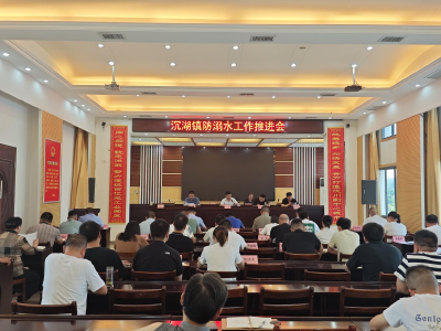 沉湖镇召开近期重点工作推进会议