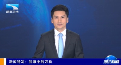 新闻特写：我眼中的万松