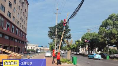汉川市马口镇：干部“一线练兵场” 绘就民生“新画卷”