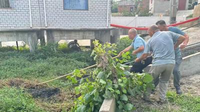 从坐办公室到跳入泥渠，中洲党员干部作风之变在一线