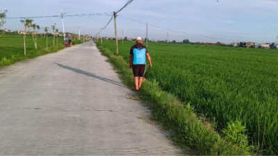 麻河镇开展“清草护路”专项行动 乡村道路换新貌