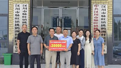 暖心助振兴！万捷建筑向脉旺镇桃鹤洲村捐赠物资解难题