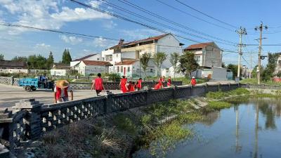 汉川市脉旺镇全域联动开展爱国卫生运动