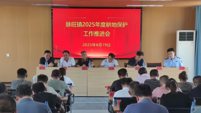 脉旺镇召开耕地保护工作推进会
