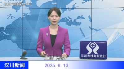 汉川新闻20250813