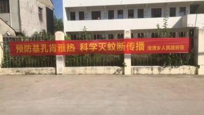 湾潭乡：全民行动，筑牢蚊媒传染病“防护墙”