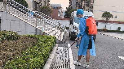 从消杀到监测 汉川疾控全方位阻击蚊媒传染病