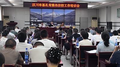 汉川市卫健系统开展基孔肯雅热防控培训 筑牢疫情防控坚实壁垒