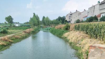 中洲农场疏浚沟渠解民忧，筑牢民生幸福堤