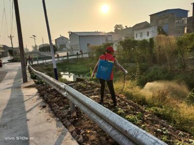 打药灭蚊虫，守护健康家园