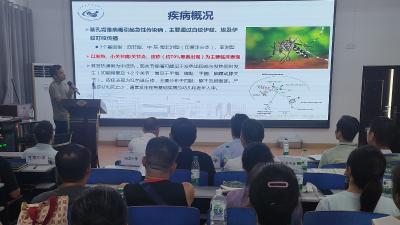 火力全开！ 汉川全方位筑牢基孔肯雅热防控堡垒