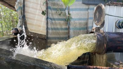 脉旺镇：多措并举抗旱情 筑牢农业生产用水保障线