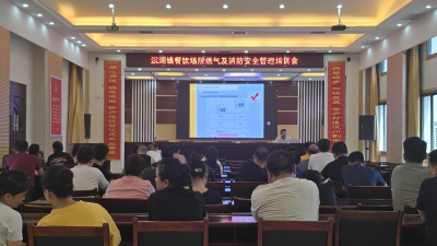 沉湖镇开展2025年餐饮门店负责人燃气安全培训