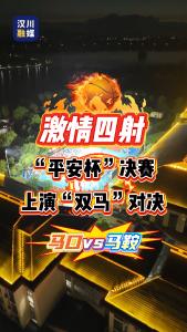 视频 | 激情四射! “平安杯”决赛上演“双马”对决