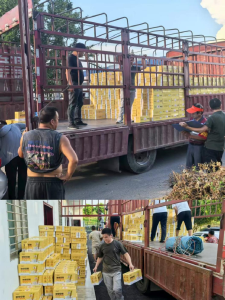 分水镇：夏日炎炎送清凉