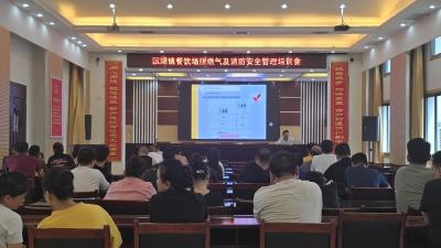 沉湖镇开展2025年餐饮门店负责人燃气安全培训
