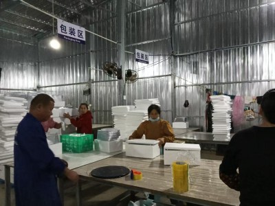 助推乡村振兴 村集体资产变身“增收宝”