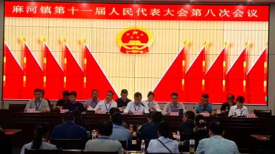 麻河镇成功召开第十一届人民代表大会第八次会议