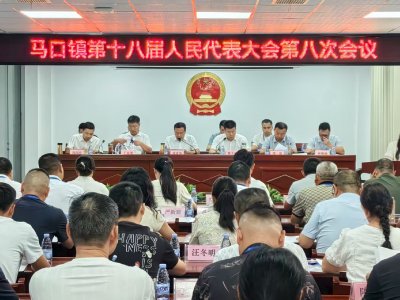 马口镇第十八届人大八次会议：新班子产生，为“强产美城兴水”注入新动力