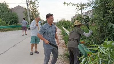 西江乡全民动员开展爱国卫生运动 擦亮乡村振兴底色