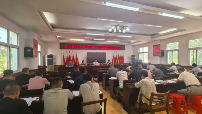 分水镇：以减负实效激活实干动能，推动基层工作回归为民服务的本质