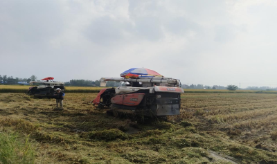 新堰镇：低茬收割+秸秆清零 双措并举绘就秋收“丰”景