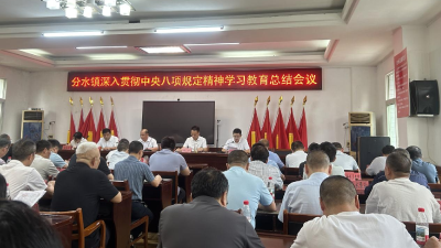 分水镇召开专题会议 总结作风建设学习教育成效