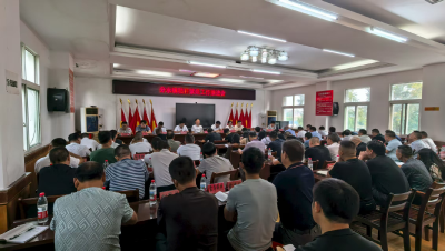 秋收未启，防线先筑！分水镇抢先布局秸秆禁烧，为蓝天保卫战按下 “快进键”