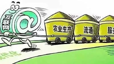 湾潭乡：打造数字乡村一体化平台，全面提升乡村治理能力