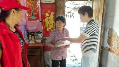 汉川分水镇新街村：“五访五看”察民情 织密防返贫保障网