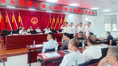 庙头镇召开第十届人民代表大会第八次会议