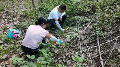 汉川市三地血防组联合开展野鼠血吸虫感染监测