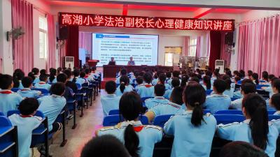 马口镇高湖小学举行心理健康讲座