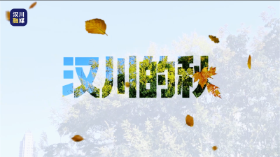 视频 | 汉川的秋，拥军路上的栾树，正用无数红黄渲染着街道的留白