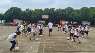 麻河小学专职师资队伍为学生全面发展注入“新动能”